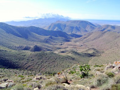 la rellana